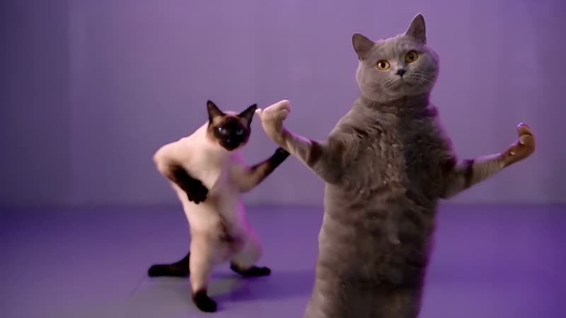 Step and reach, a frame from a NEON-inspired cat dance routine
