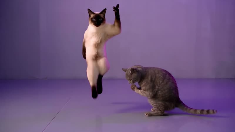 Lift and lean, a frame from a NEON-inspired cat dance routine